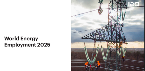 The Role of Artificial Intelligence in World Energy Employment 2025